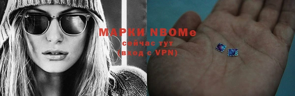 прущие грибы Няндома
