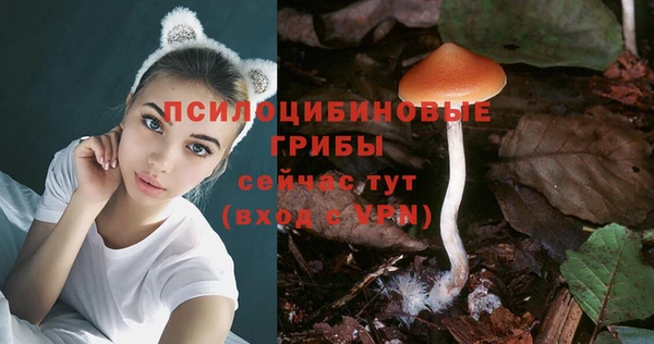 марки nbome Новодвинск