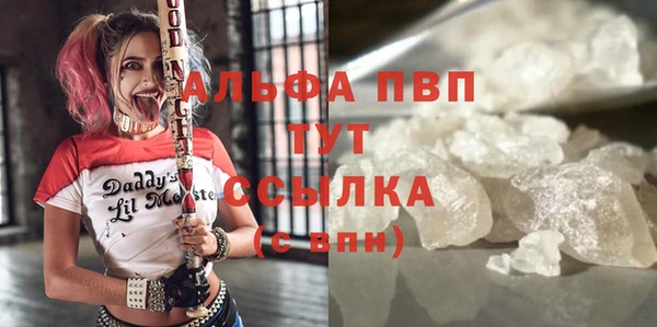 PSILOCYBIN Новозыбков
