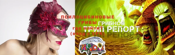 PSILOCYBIN Новозыбков